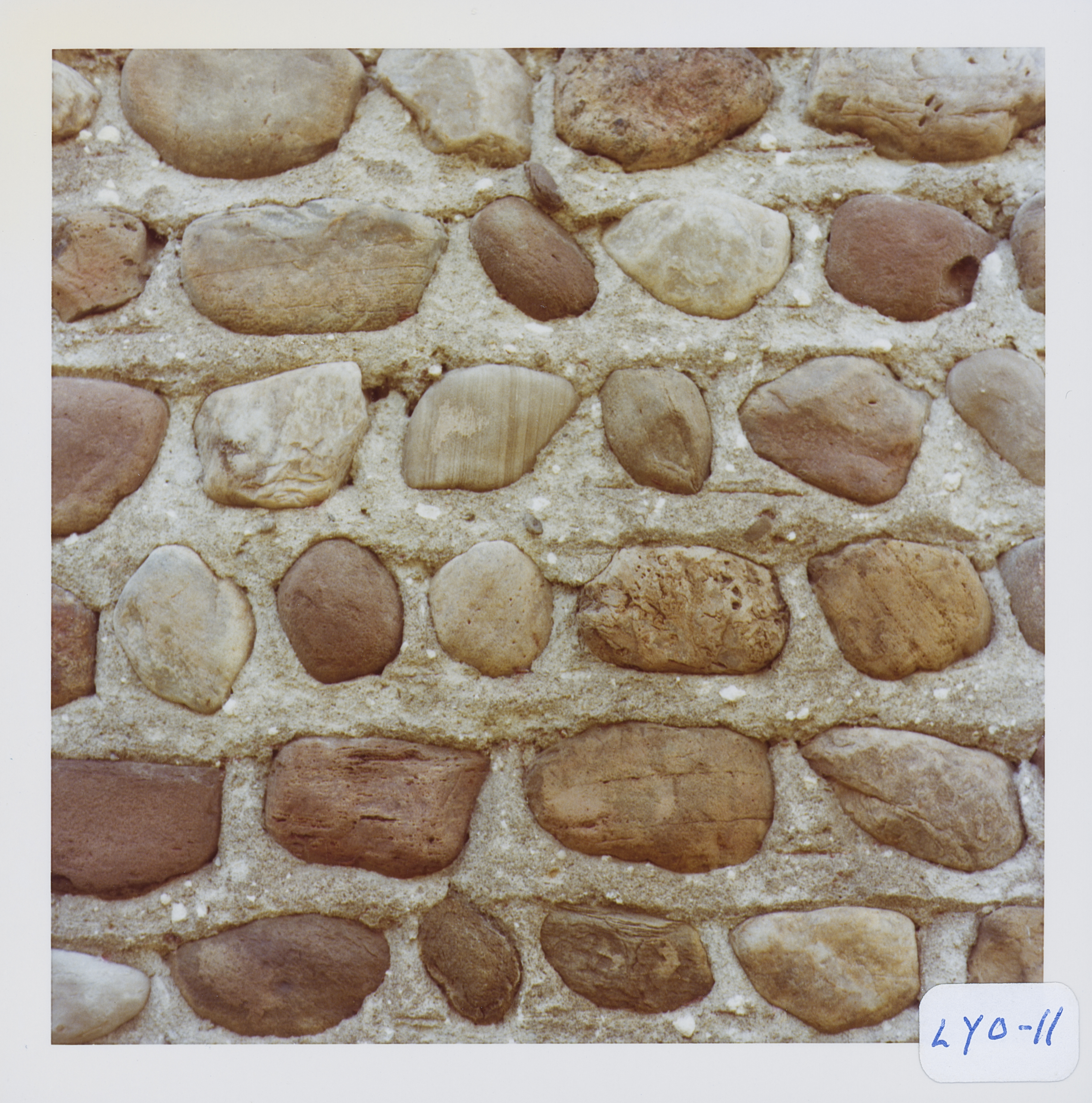 Lyo_11_5